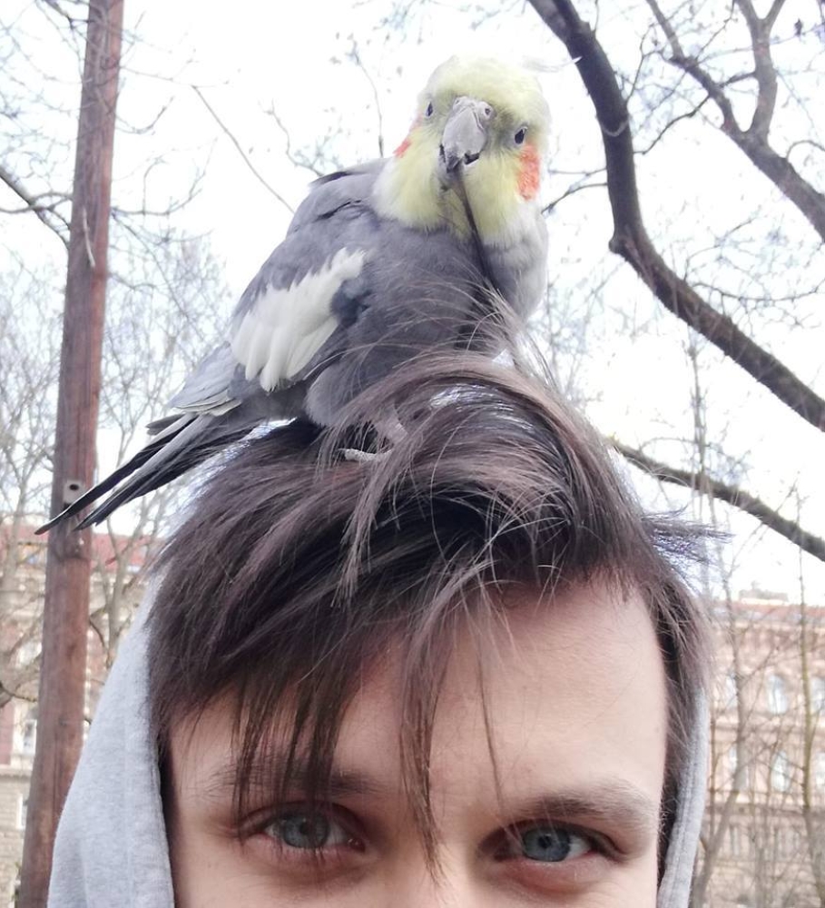 Víko kanálu Víko kanálu